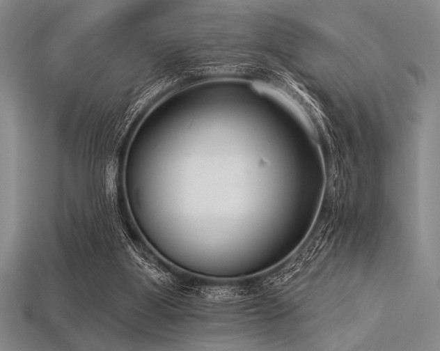 X0000113320107200909141404