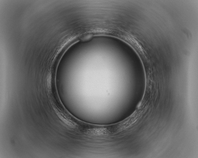 X0000113320108200909141404