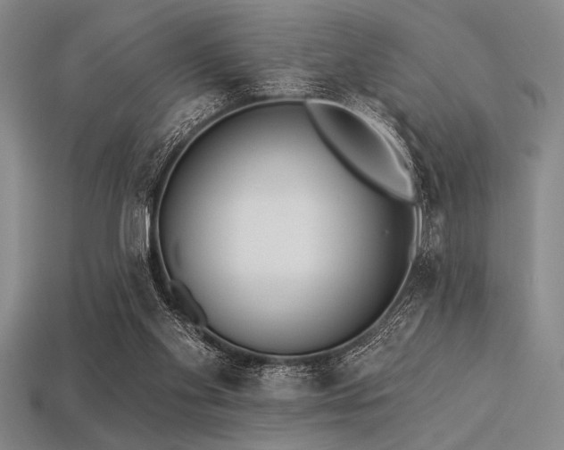 X0000113320109200909141404