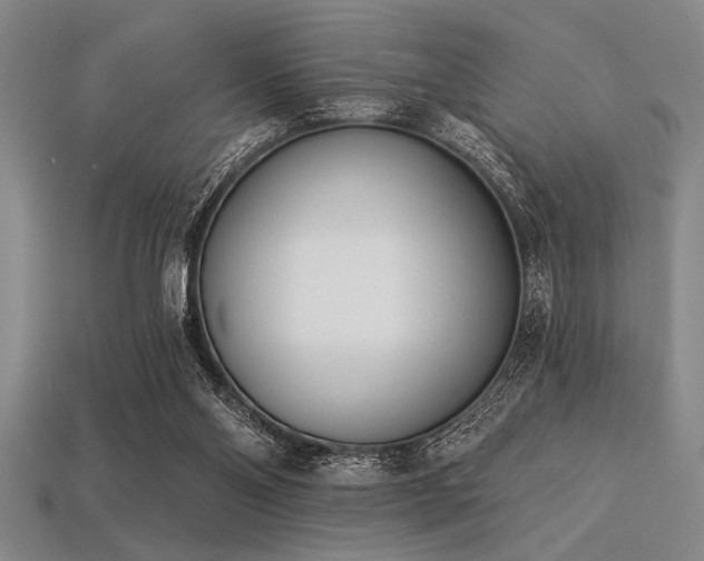 X0000113320110200909141404