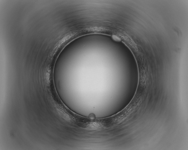 X0000113320111200909141404