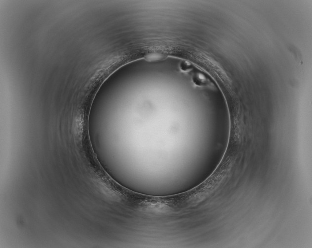 X0000113320113200909141404