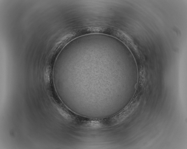 X0000113320114200909141404