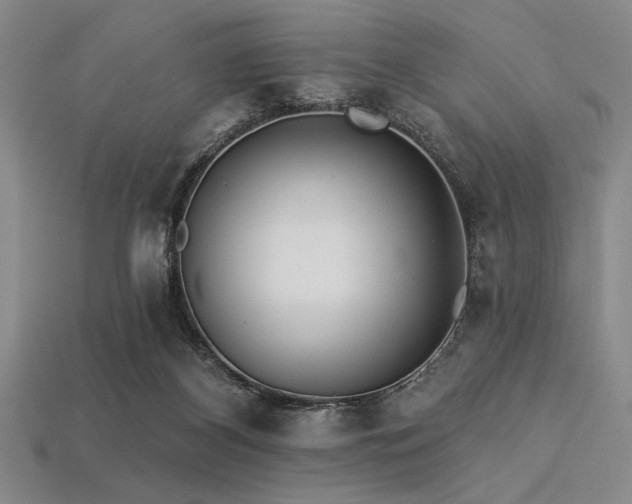 X0000113320116200909141404