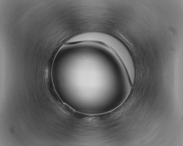 X0000113320117200909141404