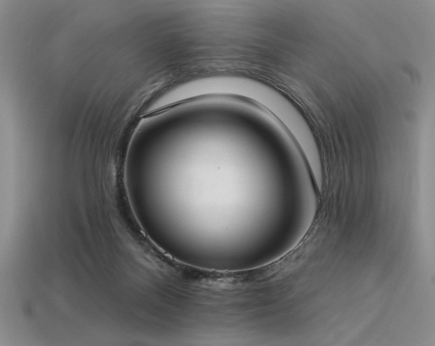 X0000113320120200909141404