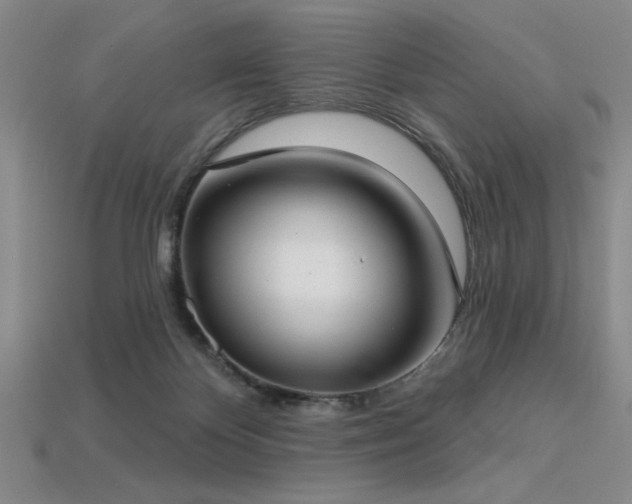 X0000113320124200909141403