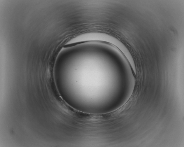 X0000113320128200909141403