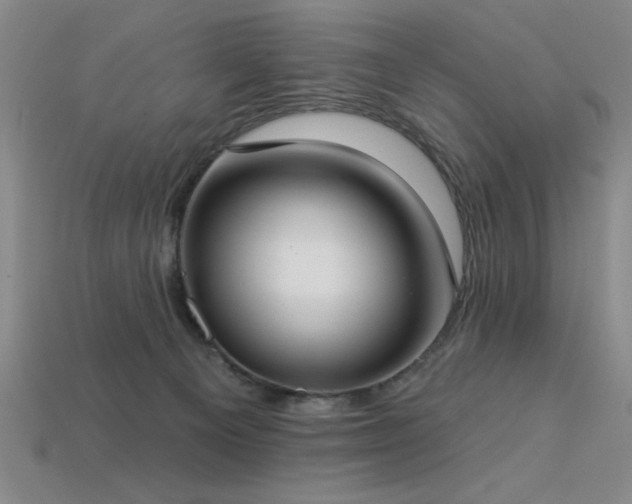 X0000113320129200909141403