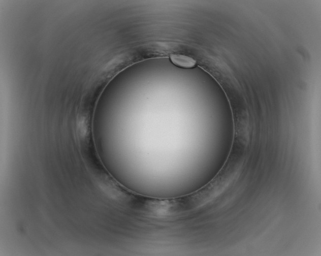 X0000113320131200909141403