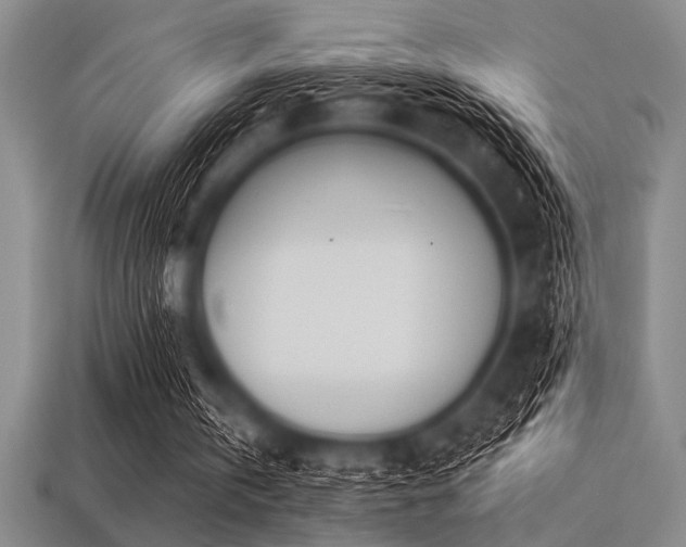 X0000113320146200909141403