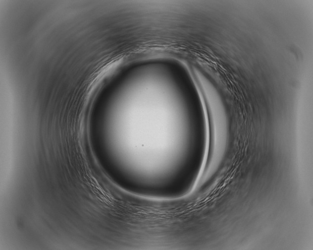 X0000113320148200909141403