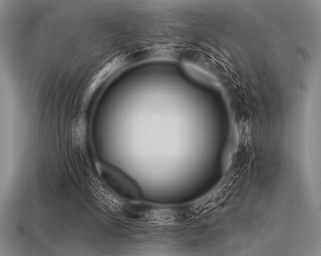 X0000113320150200909141403