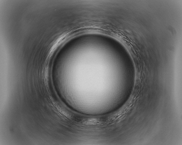 X0000113320151200909141403