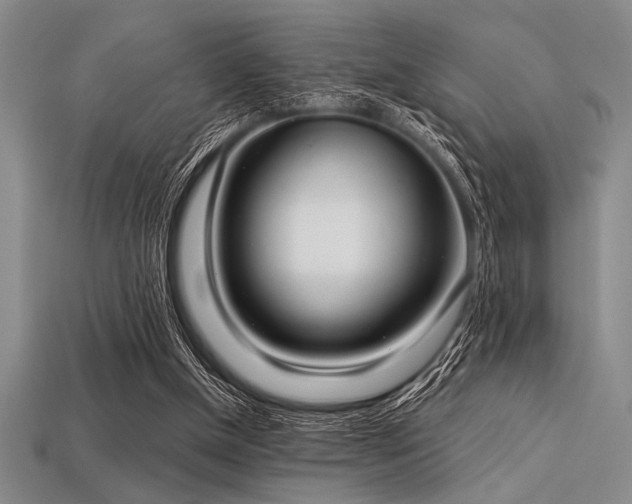 X0000113320154200909141403