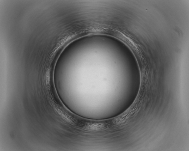 X0000113320155200909141403