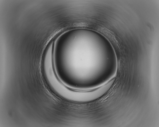 X0000113320156200909141403