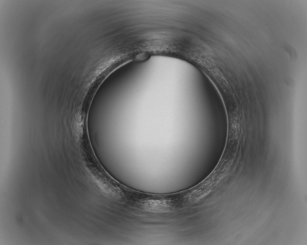 X0000113320160200909141403