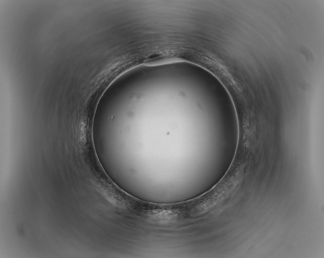 X0000113320161200909141403