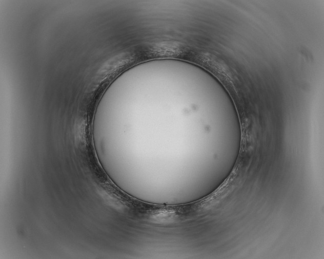 X0000113320162200909141403