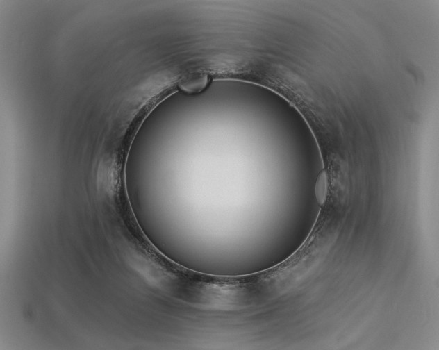 X0000113320164200909141403