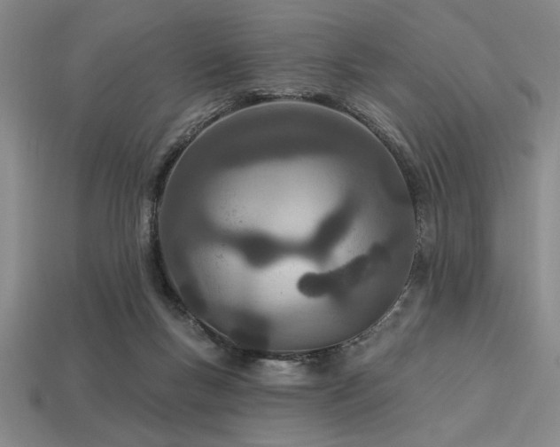 X0000113320167200909141403