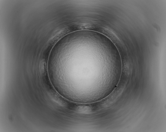 X0000113320169200909141403