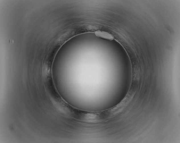 X0000113320176200909141403