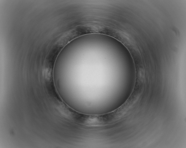 X0000113320177200909141403