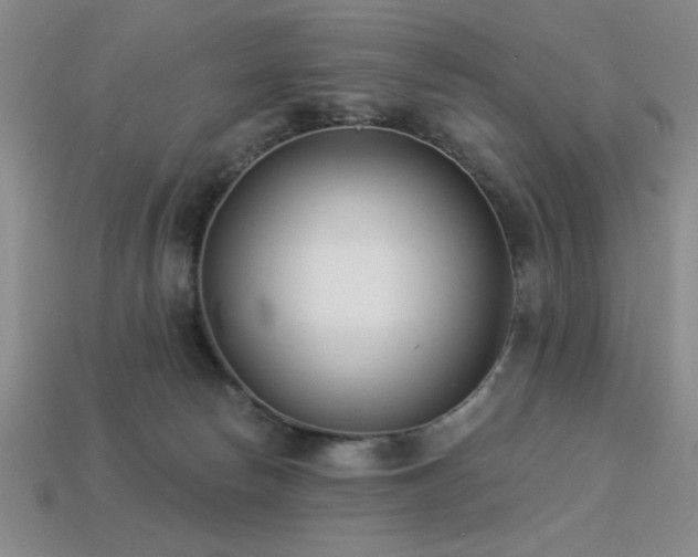 X0000113320178200909141403