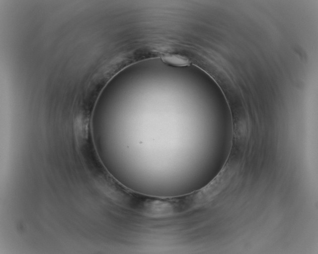 X0000113320180200909141403