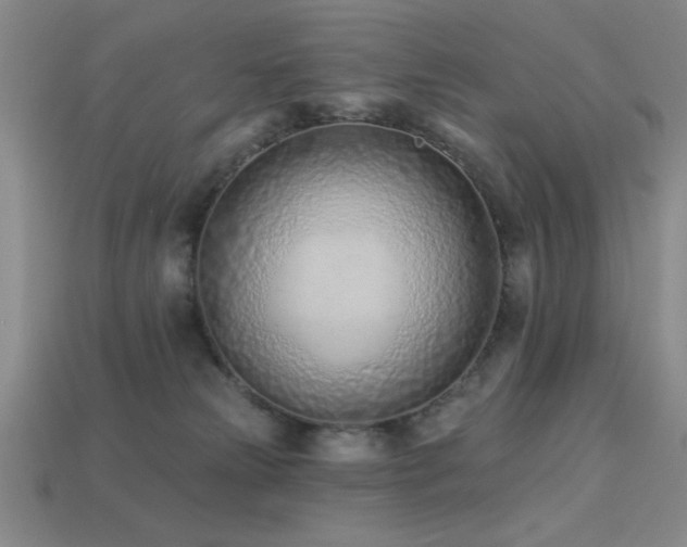 X0000113320181200909141403