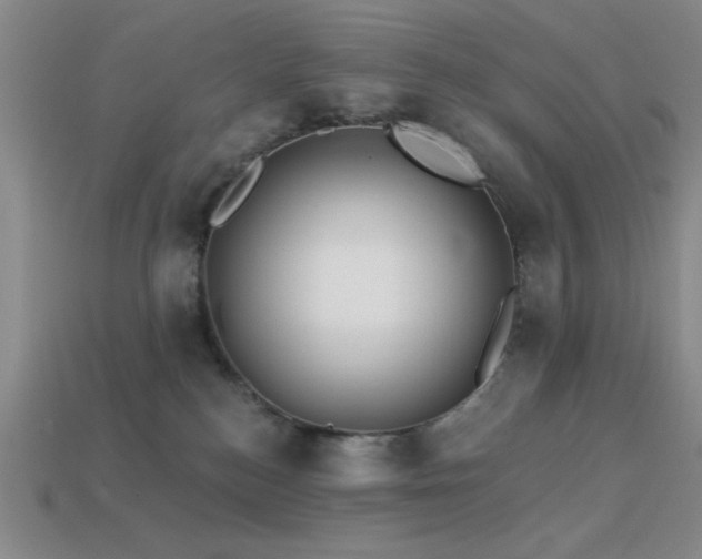 X0000113320184200909141403