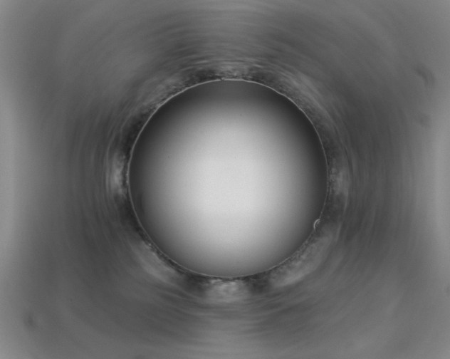 X0000113320185200909141403