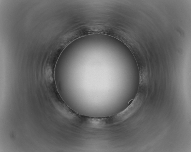 X0000113320187200909141403