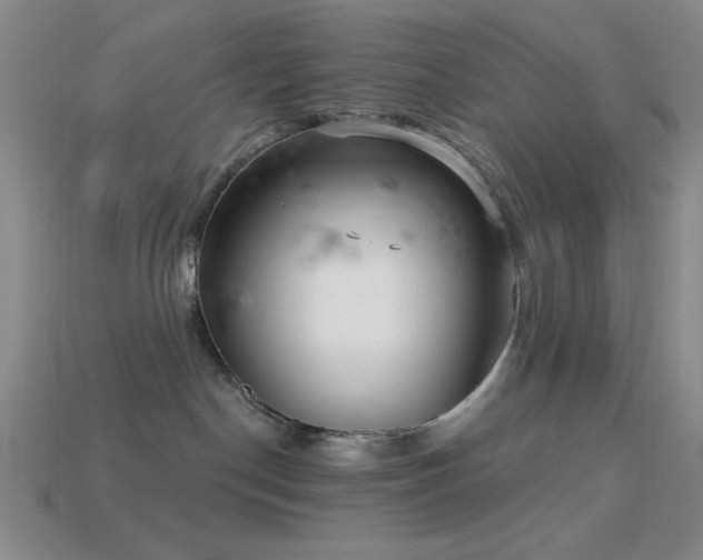 X0000113320190200909141403