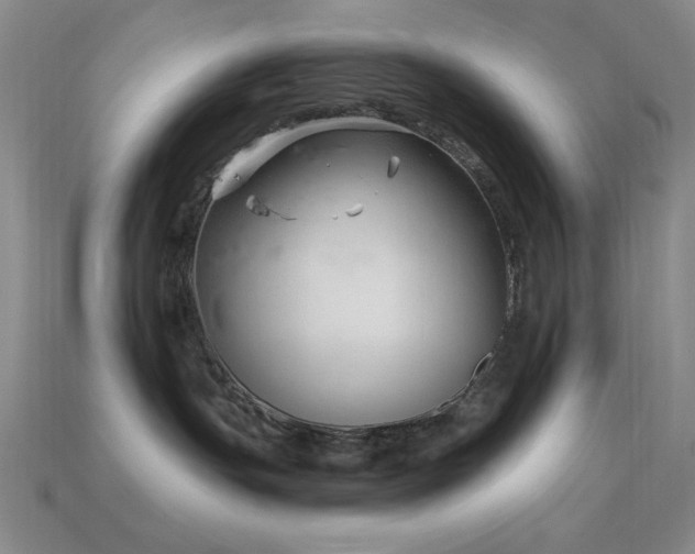 X0000113320191200909141403