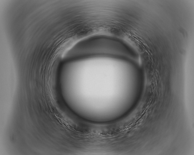 X0000113320193200909141403