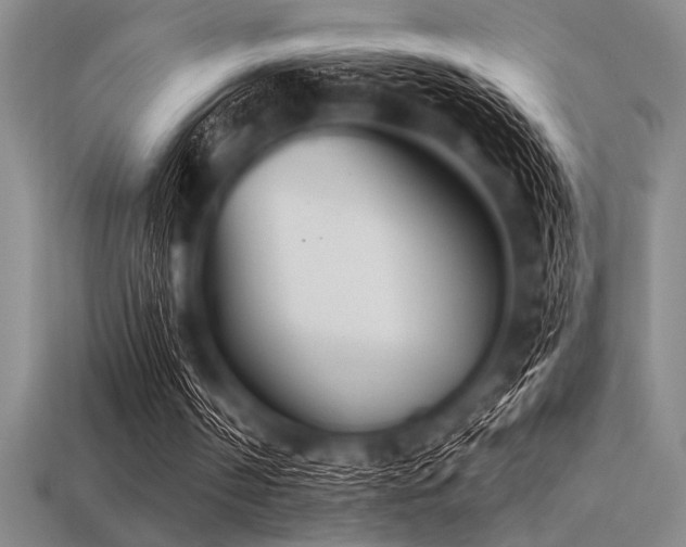 X0000113320194200909141402