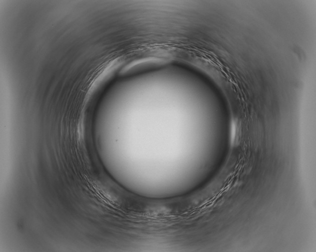 X0000113320195200909141402