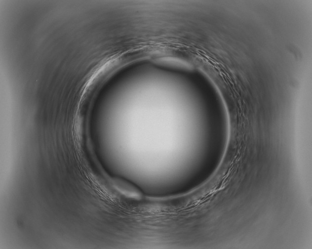 X0000113320197200909141402