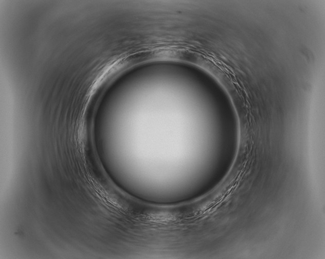 X0000113320198200909141402