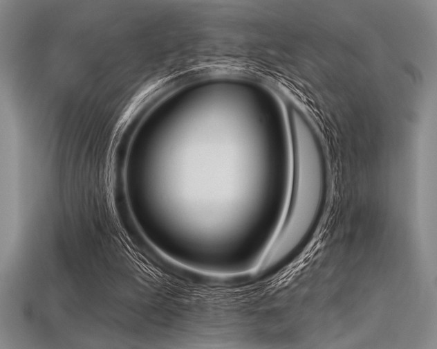 X0000113320199200909141402