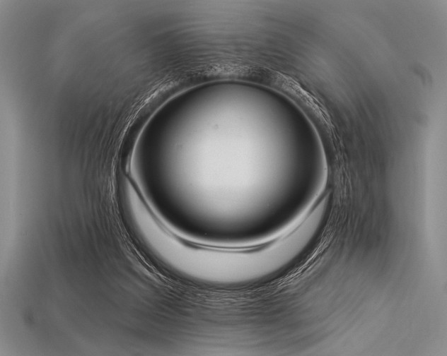 X0000113320203200909141402