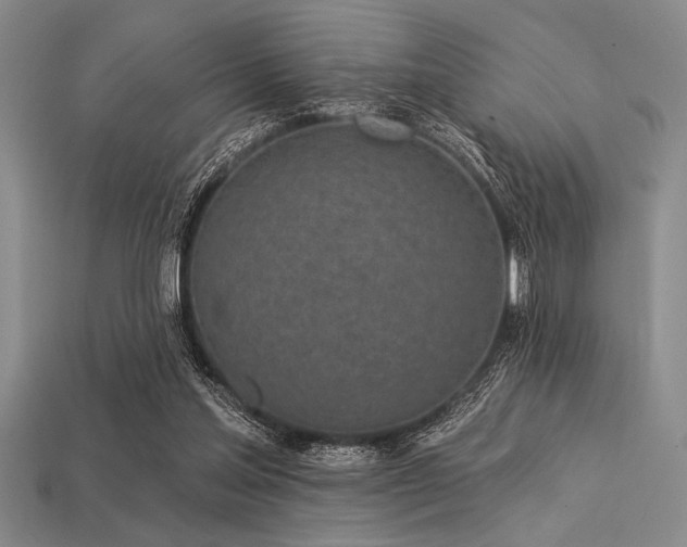 X0000113320205200909141402