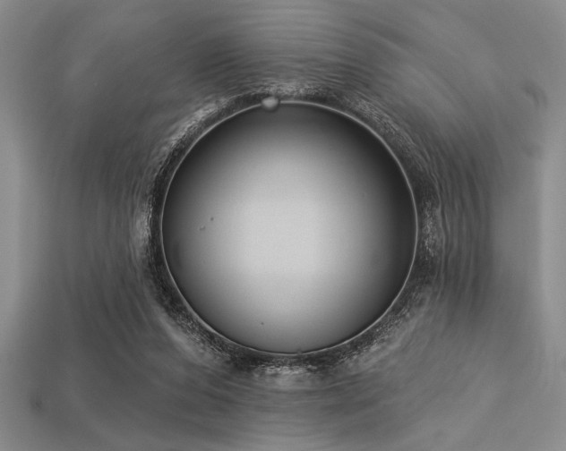 X0000113320208200909141402