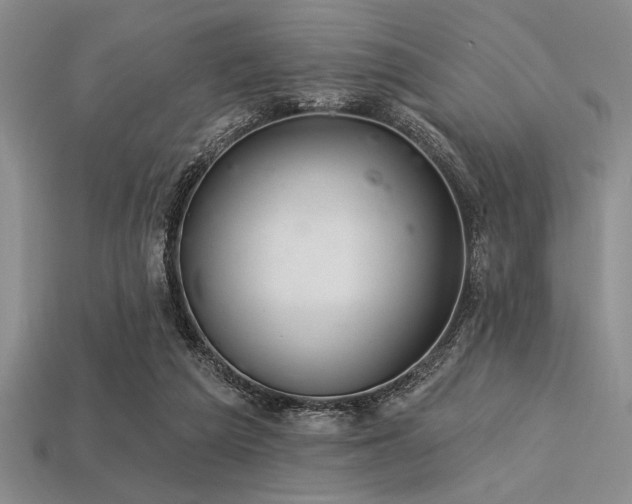 X0000113320209200909141402