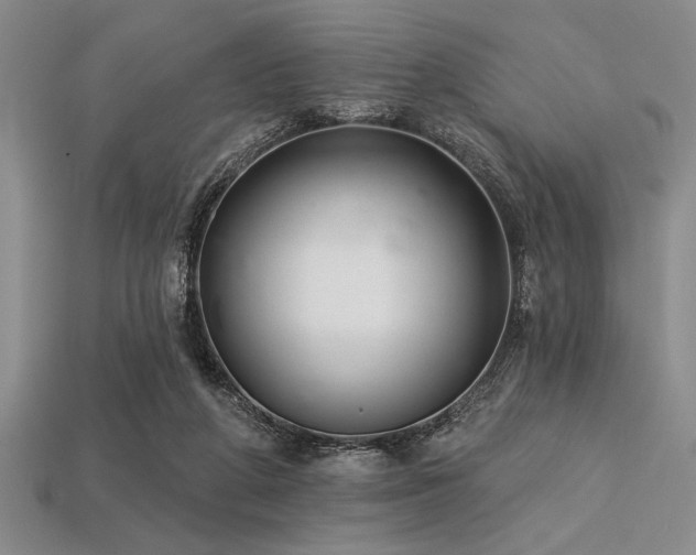 X0000113320210200909141402