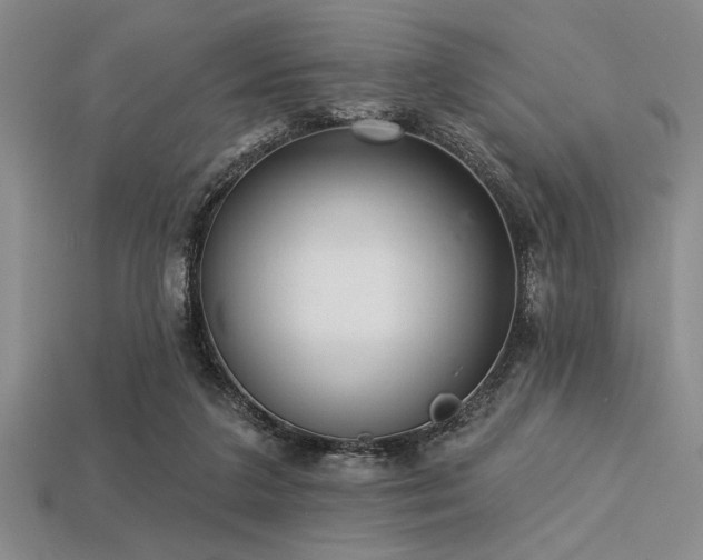 X0000113320211200909141402