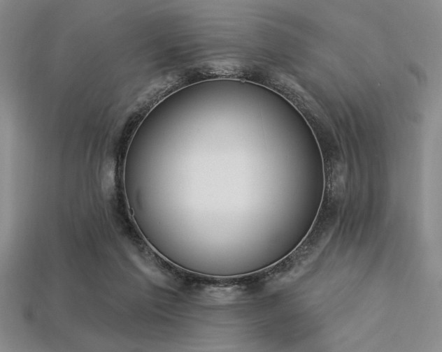 X0000113320213200909141402